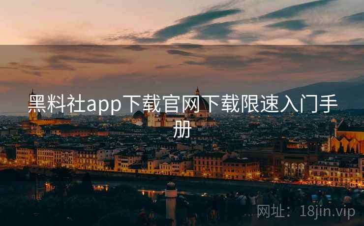 黑料社app下载官网下载限速入门手册