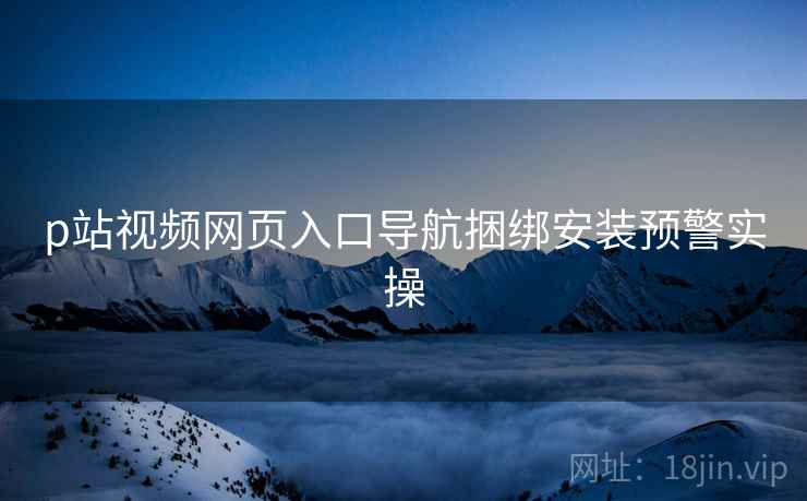 p站视频网页入口导航捆绑安装预警实操