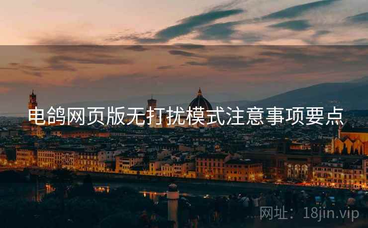 电鸽网页版无打扰模式注意事项要点