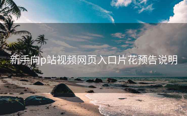 新手向p站视频网页入口片花预告说明