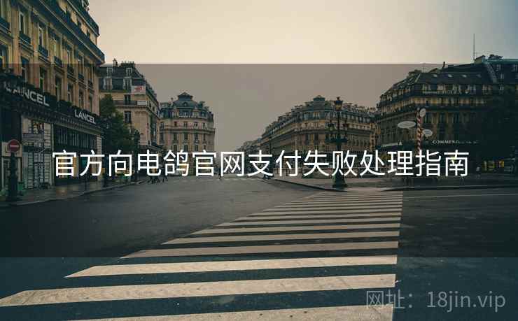 官方向电鸽官网支付失败处理指南