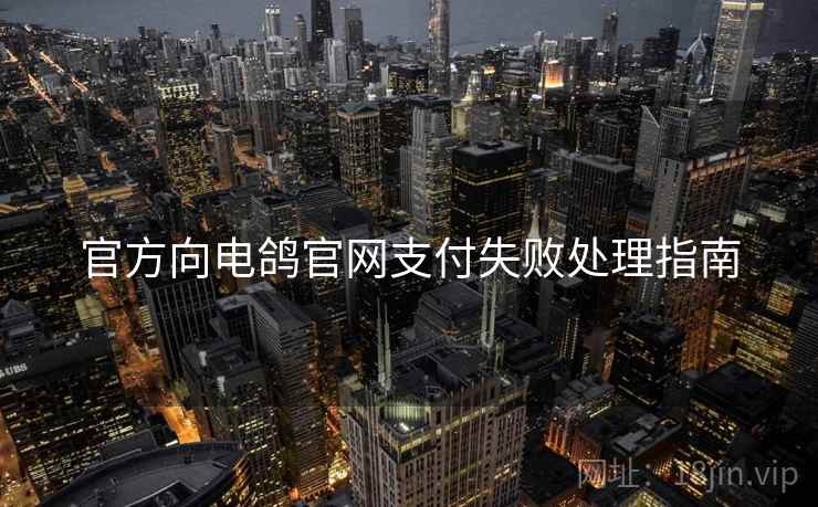 官方向电鸽官网支付失败处理指南