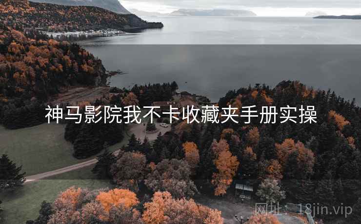 神马影院我不卡收藏夹手册实操