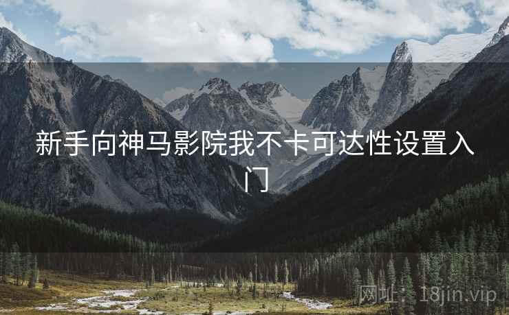 新手向神马影院我不卡可达性设置入门