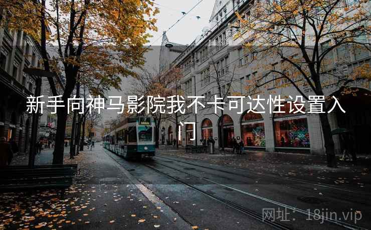新手向神马影院我不卡可达性设置入门