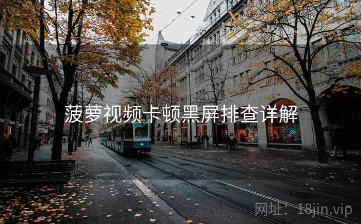 菠萝视频卡顿黑屏排查详解
