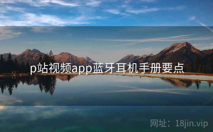 p站视频app蓝牙耳机手册要点