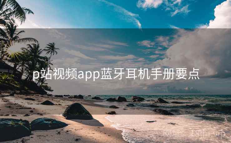 p站视频app蓝牙耳机手册要点