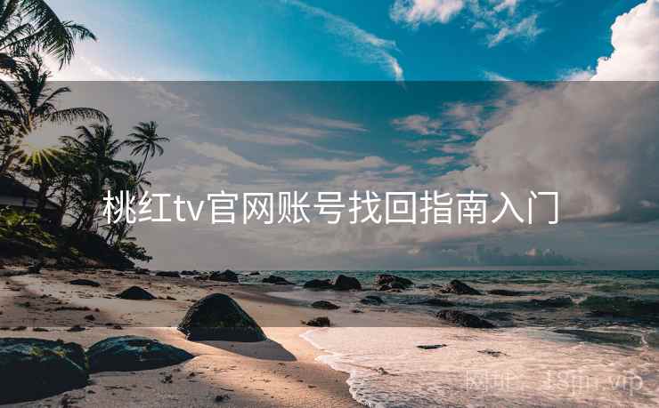 桃红tv官网账号找回指南入门