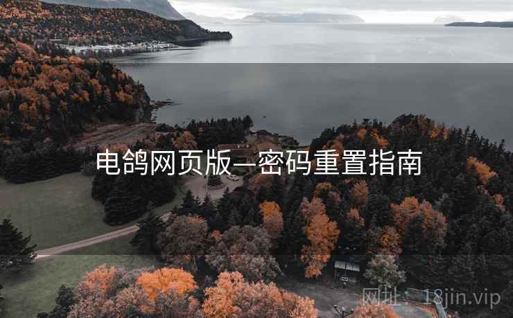 电鸽网页版—密码重置指南