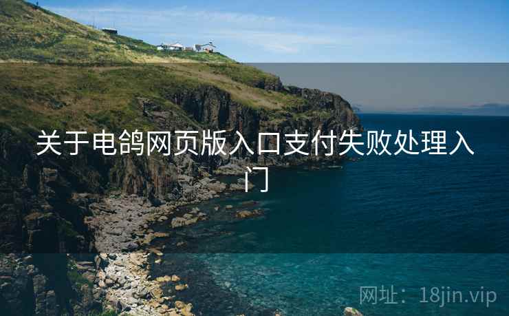 关于电鸽网页版入口支付失败处理入门