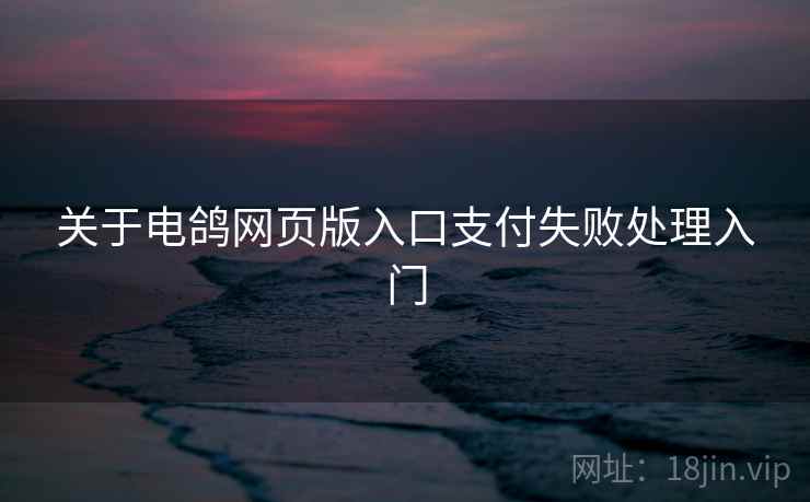 关于电鸽网页版入口支付失败处理入门