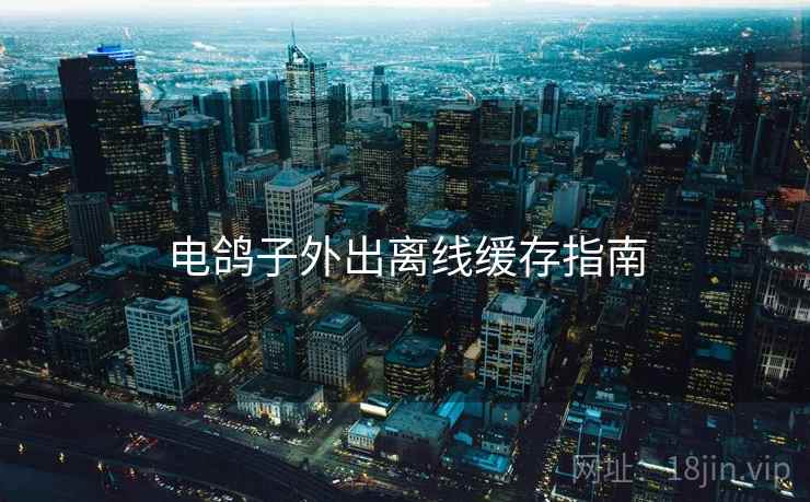 电鸽子外出离线缓存指南