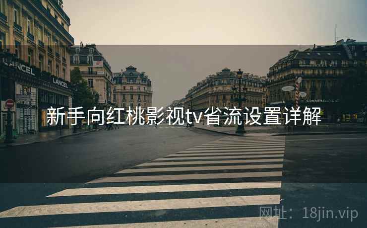 新手向红桃影视tv省流设置详解 新手向红桃影视tv省流设置详解
