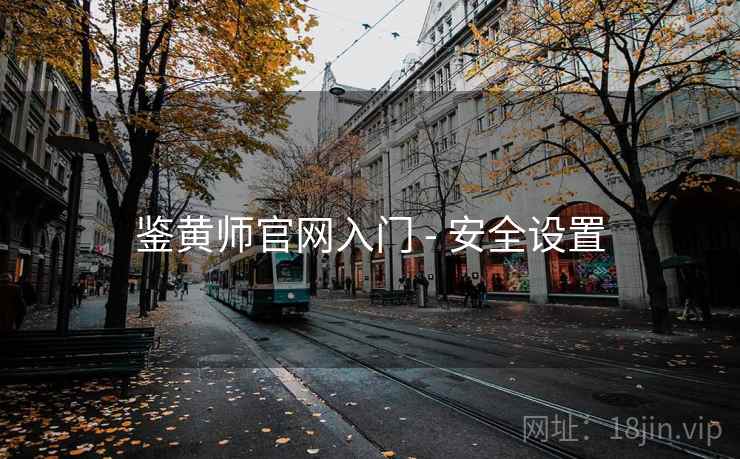 鉴黄师官网入门 - 安全设置