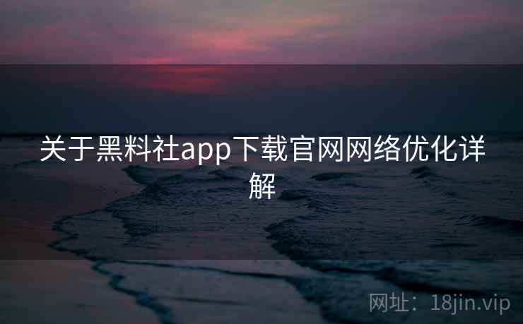 关于黑料社app下载官网网络优化详解