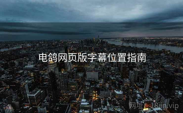电鸽网页版字幕位置指南