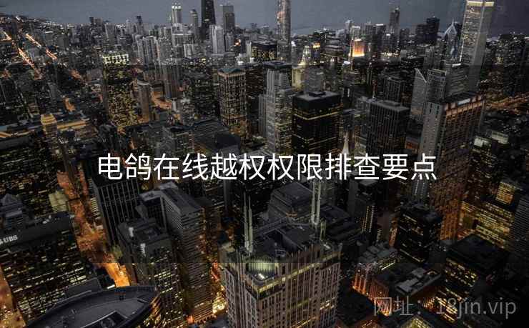 电鸽在线越权权限排查要点