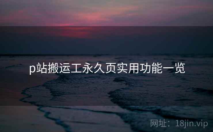 p站搬运工永久页实用功能一览