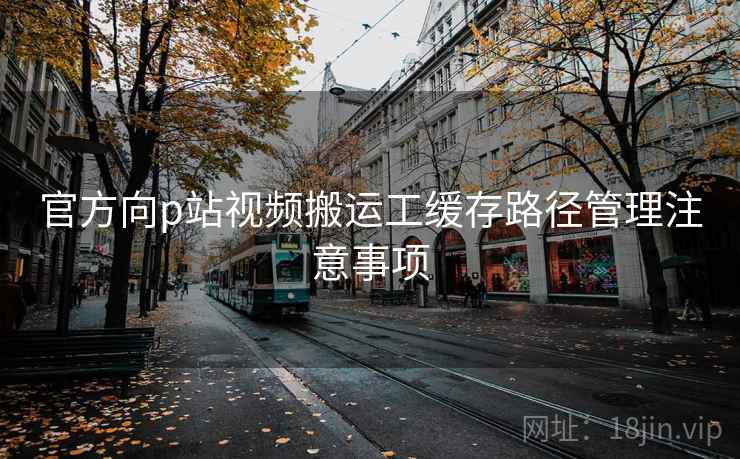 官方向p站视频搬运工缓存路径管理注意事项