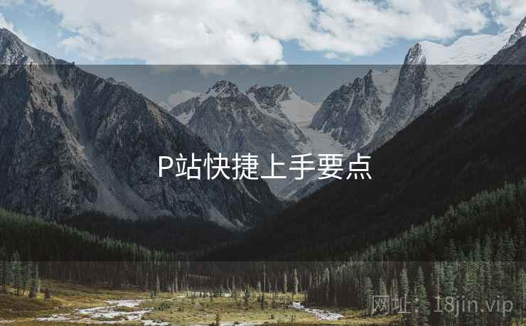 P站快捷上手要点