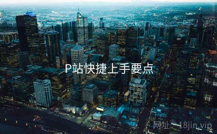 P站快捷上手要点