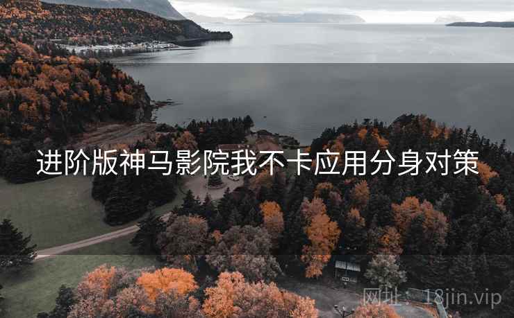 进阶版神马影院我不卡应用分身对策