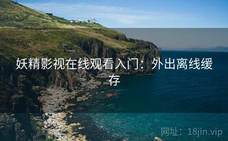 妖精影视在线观看入门：外出离线缓存