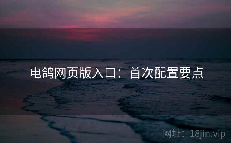 电鸽网页版入口：首次配置要点