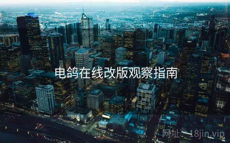 电鸽在线改版观察指南