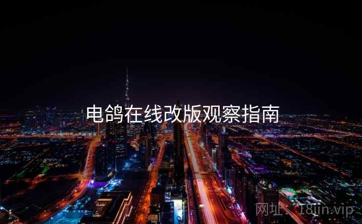 电鸽在线改版观察指南