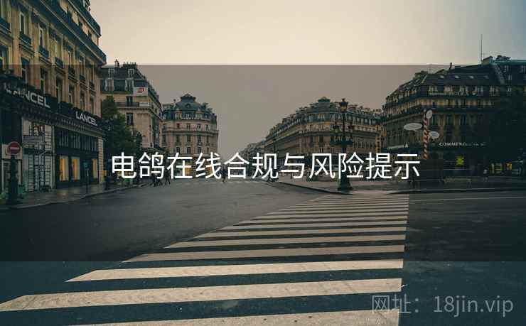 电鸽在线合规与风险提示