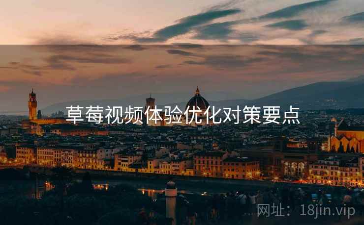 草莓视频体验优化对策要点