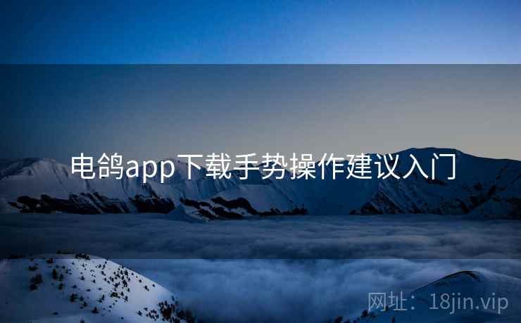 电鸽app下载手势操作建议入门 电鸽app下载手势操作建议入门