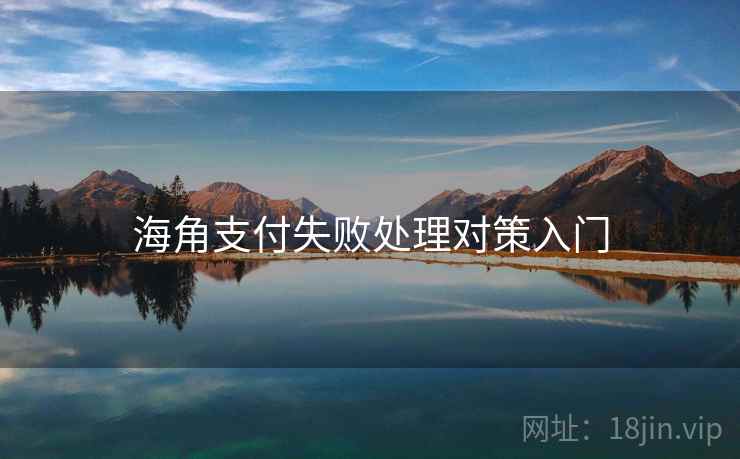 海角支付失败处理对策入门