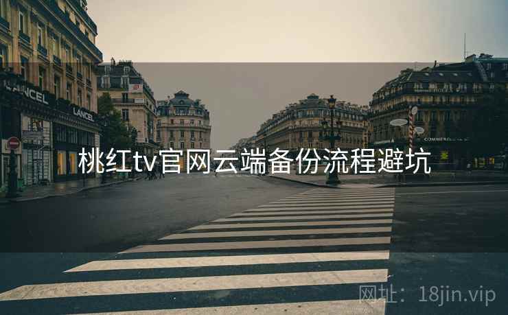 桃红tv官网云端备份流程避坑