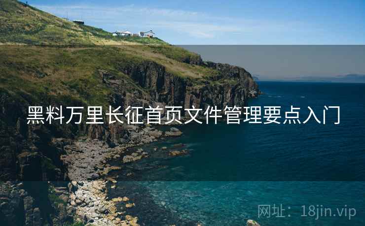 黑料万里长征首页文件管理要点入门