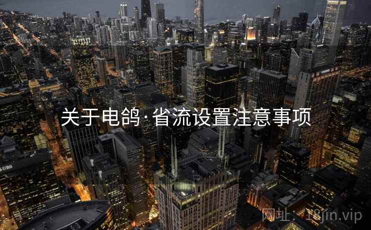 关于电鸽·省流设置注意事项