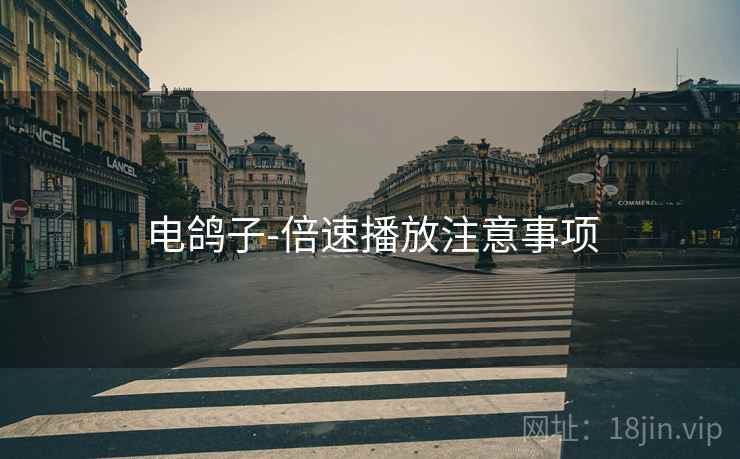 电鸽子-倍速播放注意事项