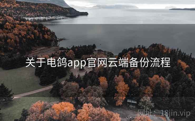 关于电鸽app官网云端备份流程 关于电鸽app官网云端备份流程